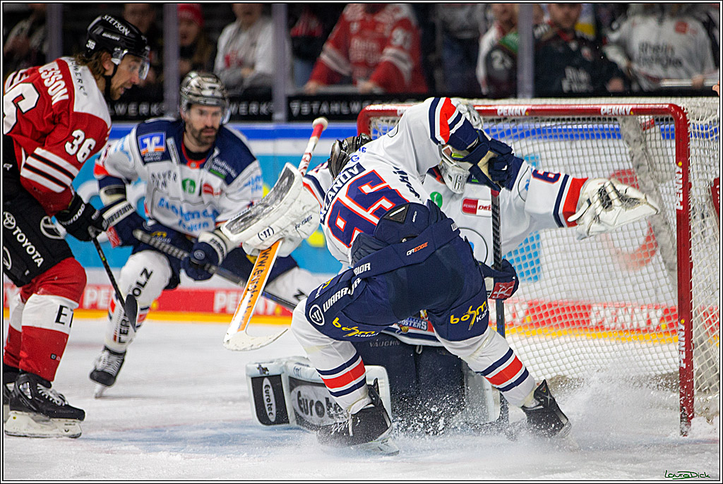 PENNY DEL; Koelner Haie- Iserlohn Roosters; Koeln, 24.01.2023